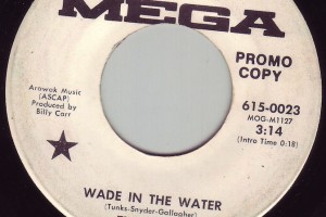 Wade in the Water 675x450